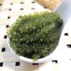 Vegetarian seaweed snack, delicious sea grapes, 100g/pack, crisp and tender texture, unique flavor (5bags) view 3
