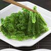Vegetarian seaweed snack, delicious sea grapes, 100g/pack, crisp and tender texture, unique flavor (5bags) view 4