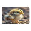 Chicken Chick Bathroom Mats Diatomaceous Earth Bath Mat Multi-Use Non Slip Floor Mats Super Absorbent Shower Mats Bathroom Rugs Diatom Mud Mat Quick-Drying Entryway Rug view 1