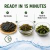 Premium Organic Dried Kombu Seaweed Value Pack (80g x 3 Bags, 240g / 8.5 oz) - Pre-Cut Whole Leaf Kelp for Authentic Japanese Dashi Broth, Vegan Miso Soup, Ramen & Hot Pot, No additives, Non-GMO view 4