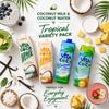 Vita Coco Variety Pack, 1 Liter Cartons (6 Pack) Original Coconut Milk, Vanilla Coconut Milk, Pineapple Coconut Water & Pressed Coconut Water Dairy Alternative & Coconut Beverage Assortment view 2