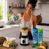 Vita Coco Variety Pack, 1 Liter Cartons (6 Pack) Original Coconut Milk, Vanilla Coconut Milk, Pineapple Coconut Water & Pressed Coconut Water Dairy Alternative & Coconut Beverage Assortment view 4