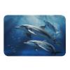 Bath Mats for Bathroom Non Slip Washable Absorbent Door Mat for Bathroom Tub Entryway Kitchen Home Outside Entry Yard Floor Patio 15.7 x 23.6 Inch view 1