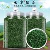 Chinese Green Tea 2026 MaoJianTea 1000g view 2