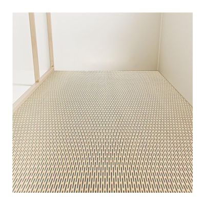 LXBAMKEA Drainage Non Slip Mat, Bathroom Carpet, Toilet Shower Mats, Indoor Outdoor Wet Area Floor Mat, Swimming Pool Kitchen Patio Bath Pad(Beige,40x60cm)