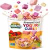 Freeze-Dried Yogurt Cubes Variety Pack Mixed Fruit Flavors Strawberry, Blueberry, Mango & Dragon Fruit, Crunchy Snack Protein-Packed, No Refrigeration Required (1 oz) view 1