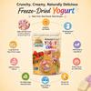 Freeze-Dried Yogurt Cubes Variety Pack Mixed Fruit Flavors Strawberry, Blueberry, Mango & Dragon Fruit, Crunchy Snack Protein-Packed, No Refrigeration Required (1 oz) view 2