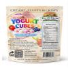 Freeze-Dried Yogurt Cubes Variety Pack Mixed Fruit Flavors Strawberry, Blueberry, Mango & Dragon Fruit, Crunchy Snack Protein-Packed, No Refrigeration Required (1 oz) view 4