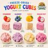 Freeze-Dried Yogurt Cubes Variety Pack Mixed Fruit Flavors Strawberry, Blueberry, Mango & Dragon Fruit, Crunchy Snack Protein-Packed, No Refrigeration Required view 3