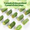 Wasabi Flavored Dried Okra, Dehydrated Okra, 80g/bag, Dried Vegetable Snack, Ready To Eat Vegetable Crisps, Healthy Snack Food, Sweet and Crispy Taste Gifts (2 bags) view 4