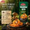 WEILOONG Premium Porcini Mushroom Konjac Jerky-Style Snack, Low Calorie view 3