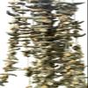 Ancient Tree Dried Lebanese Okra 8 oz - Cooking Stew Imported from Lebanon view 1