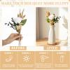 OBreezify Boho Dried Pampas Grass in vase with Wooden Tray Boho Home Decor view 4