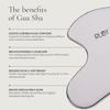 Stainless Steel Gua Sha, Guasha Tool for Face and Body, Face Gua Sha Facial Tools, Facial Massager, Face Sculpting Tool and Body Gua Sha Tool for Skincare Routine view 4