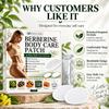 Patches Large Berberine, Moringa Berberine Patches-4box view 4