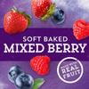 Fruit and Grain Mixed Berry Cereal Bars 8 ct Pack of 2 view 4