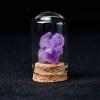 Zccrroky Natural Crystal Chips Set Healing Mineral Specimen Collection view 4