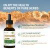 Pure AFOLIA Wormwood Drops for Intestinal & Gut Cleanse suppport, 2 oz view 2
