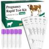 5 Pack Bovine Pregnancy Test Kit Rapid Early Detection Test Strips for Bovine, Accurate Results in Minutes, Ideal for Dairy Cows, Beef Cattle & Small Farm Herd Management view 1