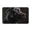 FodPand Black Labrador Bath Mats Flannel Door Mat 31.5 x 20 Inch view 1