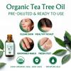 BodyJ4You Tea Tree Oil Skin Hair Scalp Feet - USDA Organic Pre-Diluted MCT view 2