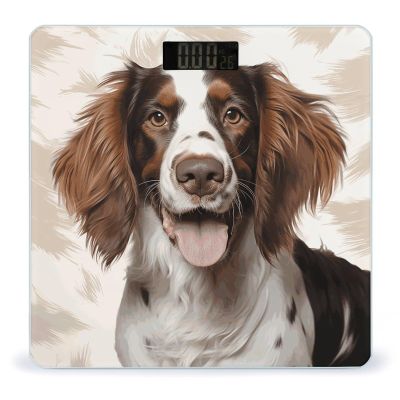 Digital Bathroom Scale Weighing Scale Smart Scale for Body Weight