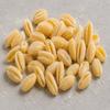Fresh Gnocchi Sardi Pasta Box view 1