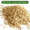 8 Quarts - Rice Hulls, All-Natural for Gardening, Soil Amendment, and Chicken Bedding view 2