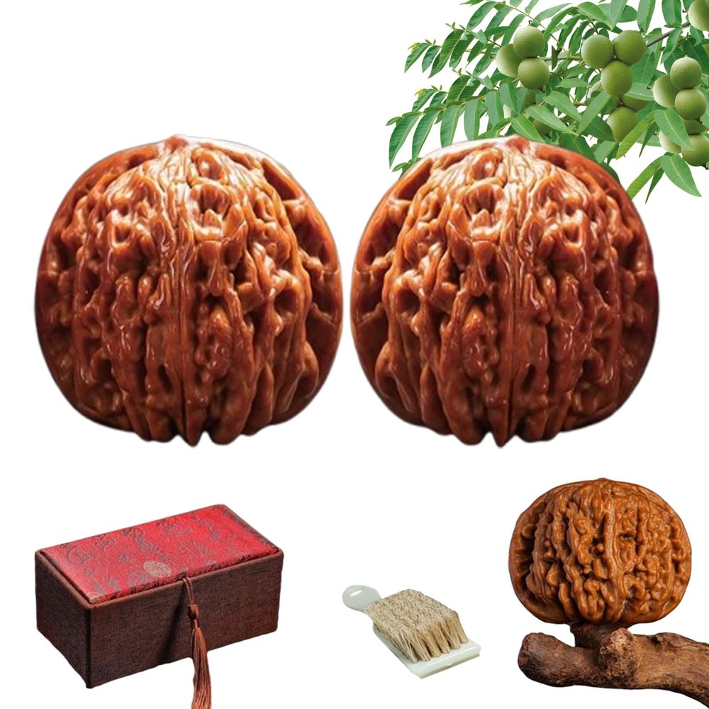 Walnut to Twirl in Your Hand,1 Pair Natural Chinese Twirling Walnuts,Jade Walnuts Fidget for Hand Exercise,Wenwan Walnut Unpolished for Stress Relief,Hand Exercise,Mindfulness Meditation (A2,38-39mm)