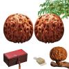 Walnut to Twirl in Your Hand,1 Pair Natural Chinese Twirling Walnuts,Jade Walnuts Fidget for Hand Exercise,Wenwan Walnut Unpolished for Stress Relief,Hand Exercise,Mindfulness Meditation (A2,38-39mm) view 1