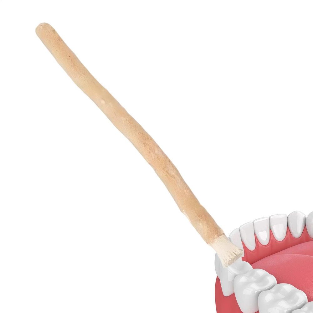 Organic siiwak Tooth Brightening Stick | 6 Inch Salvadora Persicadental Roo