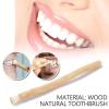 Organic siiwak Tooth Brightening Stick | 6 Inch Salvadora Persicadental Roo view 3