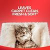 High Traffic Carpet Stain Cleaner Solution and Odor Remover Foam - 22 oz, Pack of 1 view 4