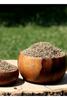 Anise Seed 100g Whole Aromatic Spice for Tea Baking Desserts and Cooking view 3