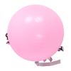 Cosiki Flip Assist Ball, Deformation Proof Somersault Exercise Ball, Training with Quick Pump for Forward Back Handspring, Ideal for Yoga & Core Workout (Pink) view 2