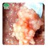 Premium Sweet Taro | Bubble Tea | Boba Milk Tea Topping | Ready-to-Use Dessert Ingredient | No Preservatives view 4