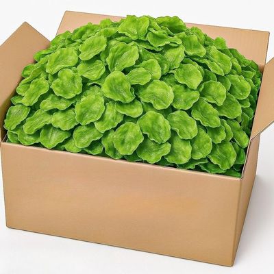 Crispy and tender dried vegetablesa low-fat, vegetarian Chinese snack that is healthy, nutritious, and naturally air-dried. (100g)