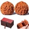 Walnut Twirling, Walnut to Twirl in Your Hand, 1.8" Twirling Jade Walnuts Kit, Natural Chinese Wenwan Walnuts Raw for Hand Rolling, Thoughtful Gift for Fathers, Elders & Collectors (Natural Finish*2) view 1