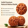 Walnut Twirling, Walnut to Twirl in Your Hand, 1.8" Twirling Jade Walnuts Kit, Natural Chinese Wenwan Walnuts Raw for Hand Rolling, Thoughtful Gift for Fathers, Elders & Collectors (Natural Finish*2) view 4