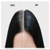 SA Natural Indigo Powder for Hair Black Colour 100 Grams | Neeli Avuri | Neel Patti | Indigofera Tinctoria view 4