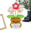 Crochet Potted Plant Handmade Appreciation Gift | Mom Teacher Decor view 1