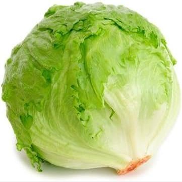 ICEBERG LETTUCE FRESH PRODUCE FRUIT VEGETABLES 1 EACH