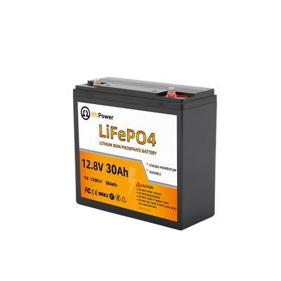 12 V 30 Ah LiFe PO4 Lithium B-attery, Built-in 30 A BMS