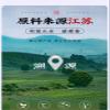 Chinese green tea,white tea,black tea Xiao Qing Gan Tea Puerh Pu'er Tea view 4