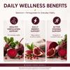 PURELYNUTRIENT Beetroot + Pomegranate Capsules, 1400mg Per Serving, Supports Daily Wellness, Energy & Stamina, Beet Root Capsules for Men & Women, 90 Capsules view 4