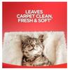 Carpet Cleaner Foam, Unscented, 3X Dirt Removal, Stain-Resistant Carpet Solution and Odor Remover, 22 oz, Single Pack view 3