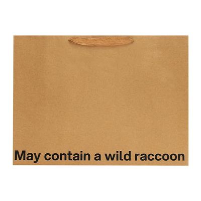 Funny Large Gift Bag 16 x 6 x 12 inch Kraft Gift Bags with Snarky Sayings - Reusable, Eco-Friendly Gag Gift Wrapping for Birthdays, Holidays, Mother's Day, Father's Day - 1 Piece (May Contain A Wild Raccoon)