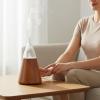 FQRDKT Aroma Essential Oil Scent Using Solid Oak and Hand Blown Glass Waterless Pure Aroma and Three Mist Settings with 2 Hour Timer Suitable for Apartment Dorm Wellness Corner, Brown Ball view 2