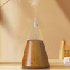 FQRDKT Aroma Essential Oil Scent Using Solid Oak and Hand Blown Glass Waterless Pure Aroma and Three Mist Settings with 2 Hour Timer Suitable for Apartment Dorm Wellness Corner, Brown Ball view 4