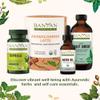 Banyan Botanicals Coconut Oil  Expeller Pressed Organic Coconut Oil  Massage Oil for Naturally Hydrated Skin and Hair  14.5 oz  Refined, Non GMO, Sustainably Sourced view 3